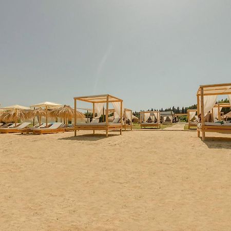 Palmyra Studios Kavos Luaran gambar